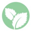 BABY MINT S.R.L.