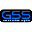 GLOBAL STRATEGIC SOLUTIONS S.R.L.
