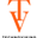 TECHNOVIKING S.R.L.