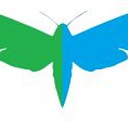 UMBRELLA TOURS S.R.L.