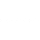PRAETORIX SOLUTIONS S.R.L.