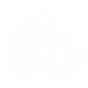 RETRO CLOUD STUDIOS S.R.L.