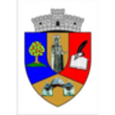Stema COMUNA DOMNESTI