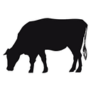 THE MEATERY S.R.L.