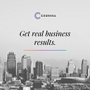 CODESSA S.R.L.