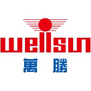 WELLSUN S.R.L.