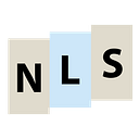 NEXT LEVEL STRATEGIES S.R.L.