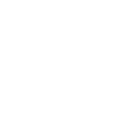 LIQUID AUTO SPA S.R.L.