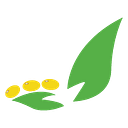 BACEX S.R.L.