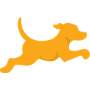 FETCH S.R.L.