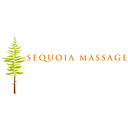 MASSAGE THERAPIST S.R.L.