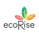 ECORISE S.R.L.