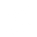 FOX LOGISTICS S.R.L.