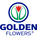 GOLDEN FLOWERS S.R.L.
