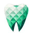P.S. DIGITAL DENT S.R.L.