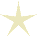 NEW STAR MEDIA S.R.L.