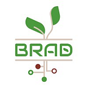 BRAD TECHNOLOGY S.R.L.