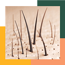 HAIRSCOPE S.R.L.