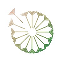 EMERALD COACHING S.R.L.