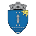 COSTINESTI DISTRIBUTION S.R.L.