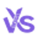 VXS-DESIGN DIGITAL SOLUTION SOCIETATE CU RASPUNDERE LIMITATĂ