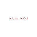 NUMINOS S.R.L.