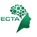 MINECTA S.R.L.
