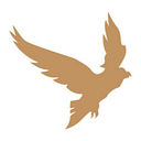 WANDER NEST S.R.L.