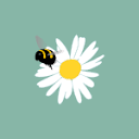 SUMMER BEE S.R.L.