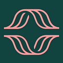 AMPLIFY GROUP S.R.L.