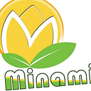 MINAMI GROUP S.R.L.