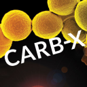 CARBX S.R.L.