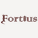 FORTIUS COM SRL