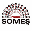 MEDIA LOGO S.R.L.