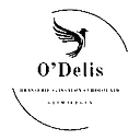 ODELIS S.R.L.