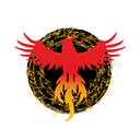 PHOENIX FITNESS S.R.L.