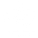 JAVA JOY S.R.L.