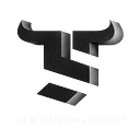 SFX TRADING S.R.L.