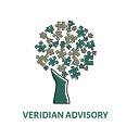 VERIDIAN ADVISORY S.R.L.