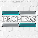 PROMESS S.R.L.