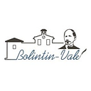 Stema Oraş Bolintin Vale