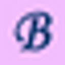 BELPAN SRL