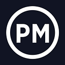 PROJECT MANAGER SRL
