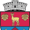Stema Comuna Danes