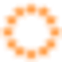 FERGUSON SRL