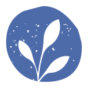 FLORA TRADING S.R.L.