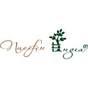 NUCIFERE REGIA SRL