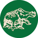 ALLIGATOR SRL