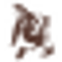 CONIFLOR SRL