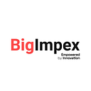 BIGIMPEX SRL